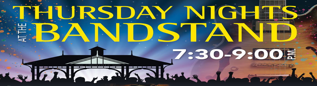 main_banner_1100x300